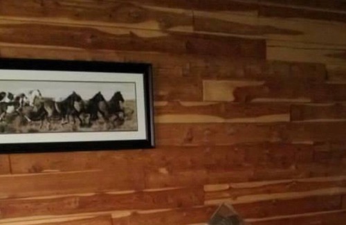 Newnata Cabin | 2 miles from Blanchard Springs Caverns