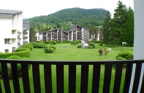 Samoens Apartment | 2 pièces cabine lumineux, proche centre Samoëns, animaux acceptés, parking, balcon - FR-1-629-22