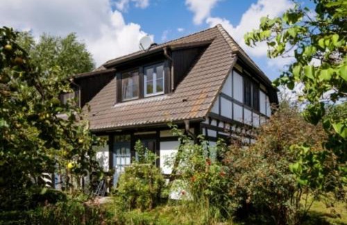 Warthe Apartment | 2-Raum Apartment bis 4 Pers 13