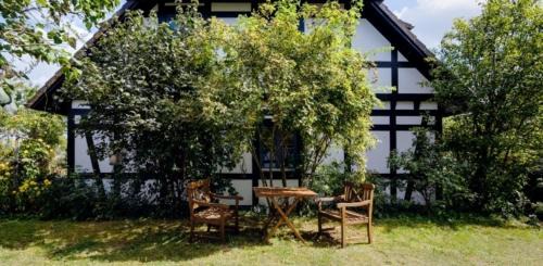 Warthe Apartment | 2-Raum Apartment bis 4 Pers 31