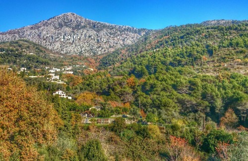 Castellar Apartment | 2 rooms with garden