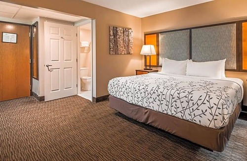 Birch Run Hotel | 2-Star Hotel ∙ Best Western Plus of Birch Run/Frankenmuth