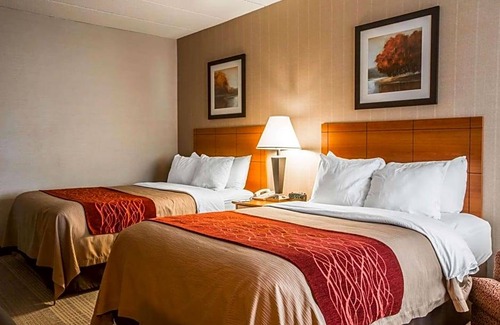 White River Junction Hotel | 2-Star Hotel ∙ Comfort Inn White River Junction