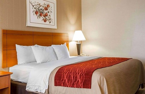 White River Junction Hotel | 2-Star Hotel ∙ Comfort Inn White River Junction