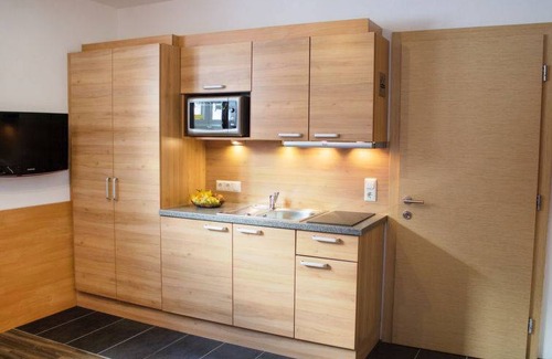Pettneu am Arlberg Apartment | 20 m² Apartment ∙ 1 bedroom ∙ 2 guests