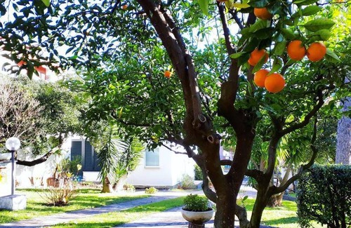 Sestri Levante Other | 20 m² Camping ∙ 1 bedroom ∙ 3 guests