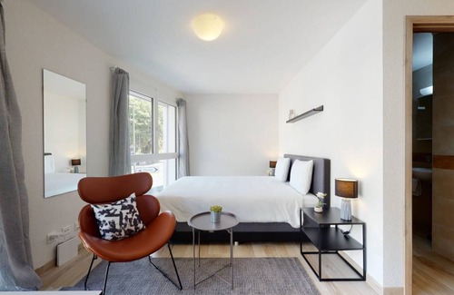 Aigle Apartment | 20 m² Studio flat ∙ 1 bedroom ∙ 2 guests
