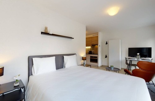 Aigle Apartment | 20 m² Studio flat ∙ 1 bedroom ∙ 2 guests