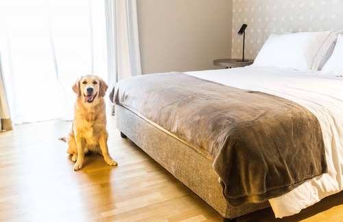 Bari City Centre Bed & Breakfast | 200 Rooms & Terrace