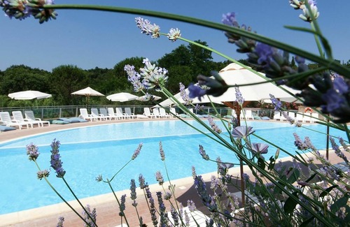 Guardistallo Other | 21 m² Accommodation ∙ 1 bedroom ∙ 2 guests