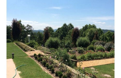 Dahlonega House | 25 acre home, farm animals & large running creek. 8 mls from downtown Dahlonega