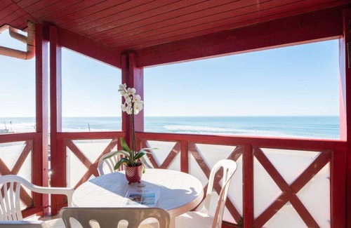 Lacanau-Ocean Apartment | 25 m² Apartment ∙ 1 bedroom ∙ 2 guests