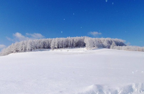 Furano Hotel | 25 m² Hotel ∙ 2 bedrooms ∙ 4 guests