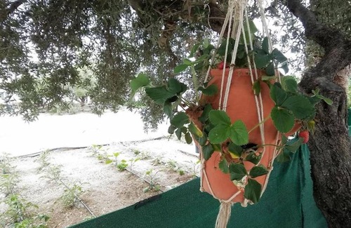 Ferma Apartment | 25 m² Studio flat ∙ 1 bedroom ∙ 2 guests