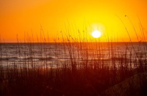 Palmetto Dunes House | 26 Muirfield Road at The Sea Pines Resort