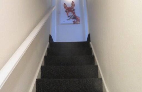 Darlington House | 29 Lewes Road - Darlington