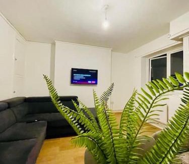 Tower Hamlets Apartment | 2BD CanaryWharf Mile End Private Balcony FREE Parking