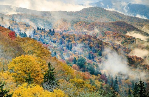 Kodak Condo | 2BR Smokey Mountains Getaway