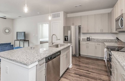 Elmo Apartment | 3 BDR Texas Corporate Housing Professional Apt