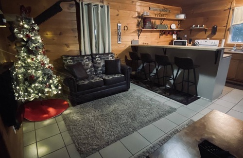 Wellston Cabin | 3 Bed Cozy Cabin Near Trails, Tippy Dam, Manistee River, Casino.