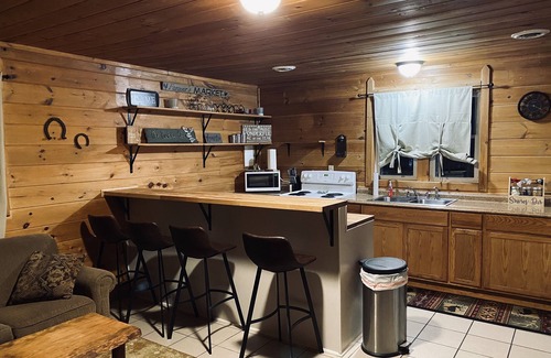 Wellston Cabin | 3 Bed Cozy Cabin Near Trails, Tippy Dam, Manistee River, Casino.