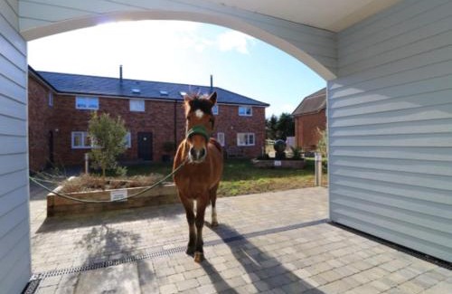 Newport House | 3 Bed in Newport 90253