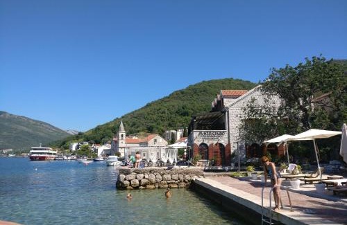 Tomicici House | 3 bedroom 3 bathroom pool Ivy House Montenegro