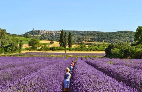 Saint-Victor-la-Coste House | 3 bedroom accommodation in St Victor la Coste