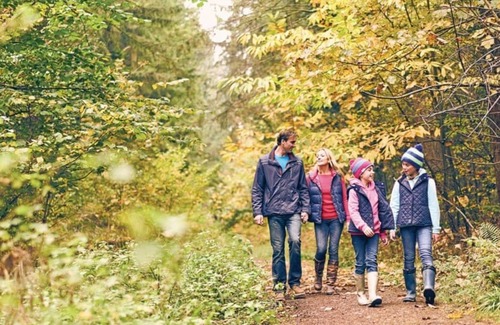 Lydney Cabin | 3 bedroom accommodation in Forest of Dean
