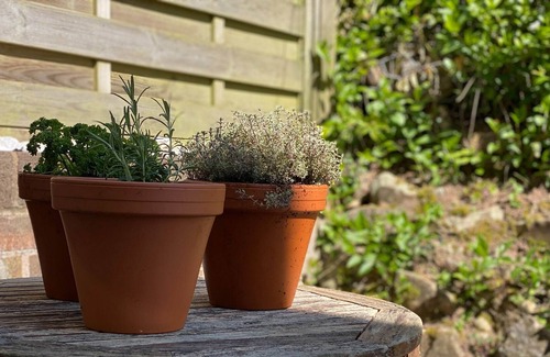 Budleigh Salterton Cottage | 3 bedroom accommodation in East Budleigh