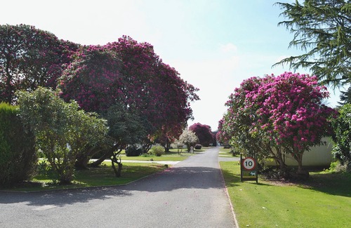 Liskeard Cottage | 3 bedroom accommodation in Liskeard