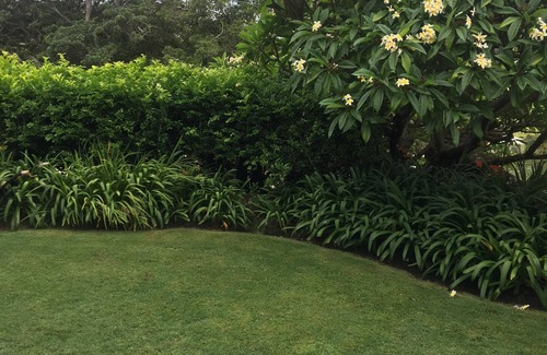 Bronte House | 3 bedroom Bronte beach house with garden, directly opposite Bronte Park & beach