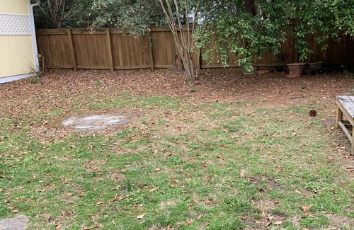 Wilmington Cottage | 3 Bedroom Cottage w/Hot Tub- 4 miles to Beach, 4 miles to Downtown and 1 to UNCW