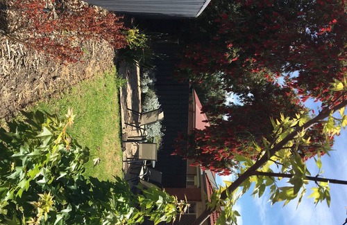 Windsor Gardens House | 3 bedroom freshly renovated home