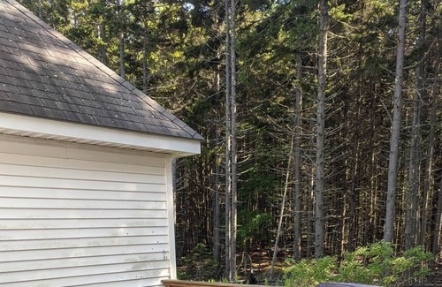 Phippsburg House | 3 Bedroom House overlooking marsh and woods. Close to Head Beach.