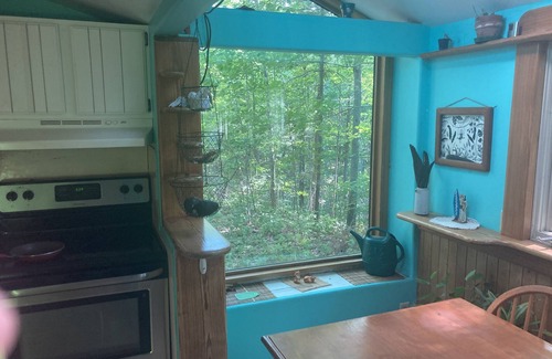 Washburn House | 3+ Bedroom House +SAUNA, Patio, DIRECT Snowmobile Trail Access, & Firepit