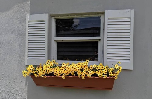 Miami Shores House | 3 Bedroom Miami Home, 15 Minutes to the Beach!
