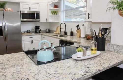 Ybor City House | 3 Bedroom Modern Ybor City Home- Pet Friendly