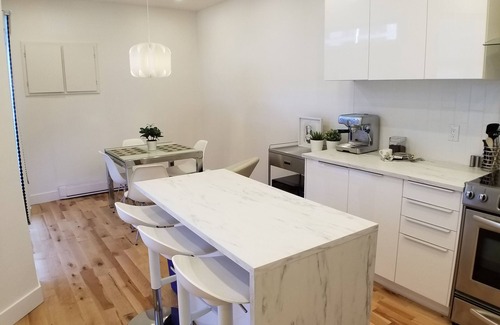 Hochelaga-Maisonneuve Apartment | 3 Bedroom near Olympic Stadium