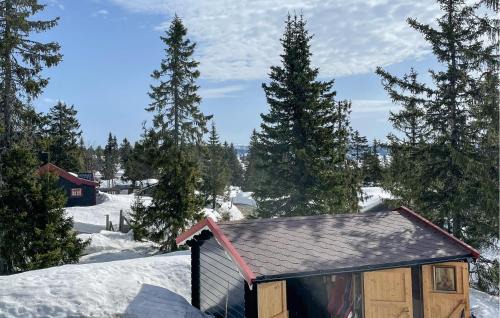 Oslo City Centre House | 3 Bedroom Stunning Home In Sjusjøen