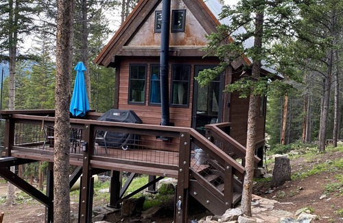 Red Cliff Cabin | 3 MILES FROM SKI COOPER - COZY CABIN SLEEPS 4!