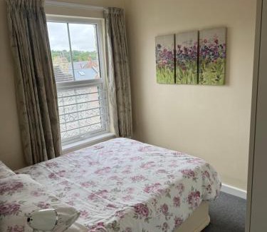 Loftus Apartment | 3 park view