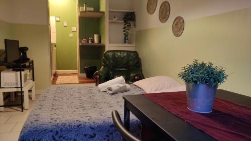 Melun Apartment | 30 Boulevard Studio Apartment - 01