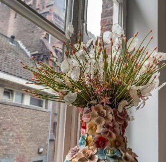 Statenkwartier Bed & Breakfast | 30 m² Bed and breakfast ∙ 2 guests