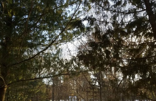 Montello House | 30 min to Wisconsin Dell30 min to Cascade Mt.FishermanHunters Families