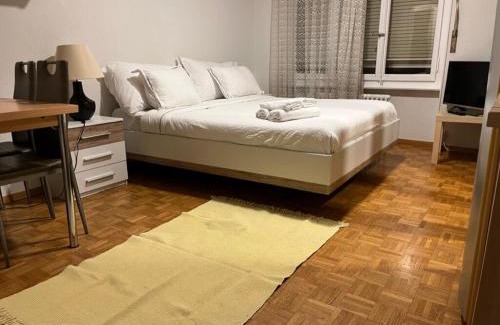 Lausanne Center Apartment | 300m from the train station