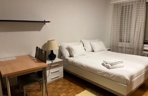 Lausanne Center Apartment | 300m from the train station