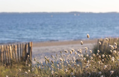 Carnac Apartment | 31 m² Apartment ∙ 1 bedroom ∙ 4 guests