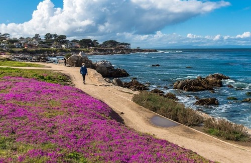 Pacific Grove House | 3263 Villa By The Sea 3 Bedroom Townhouse by Redawning