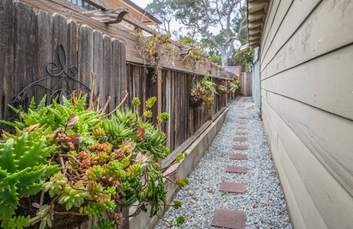 Northeast Carmel House | 3264 Sea Shell Guest Cottage ~ Updated and Cozy!